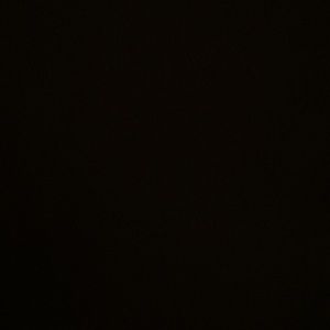 Meet your Posher, Flora